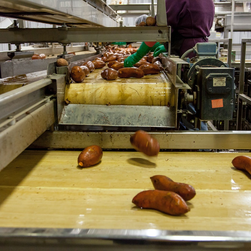 pexels-mark-stebnicki-2889193