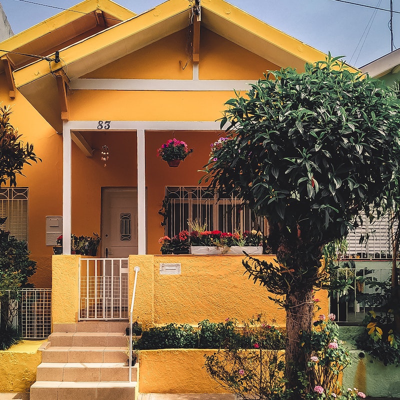 pexels-thgusstavo-santana-2102587