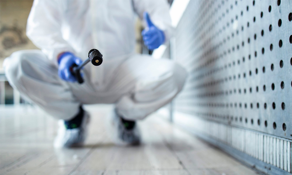 Entomology Inspections (2)